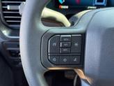 Thumbnail of 2025 Agate Black Metallic Ford F-150