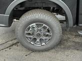 Thumbnail of 2025 Shadow Black Ford Ranger