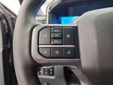 Thumbnail of 2026 Agate Black Metallic Ford F-250