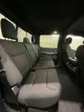 Thumbnail of 2025 White Ford F-150