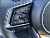 Thumbnail of 2025 Autumn Subaru Outback