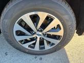 Thumbnail of 2025 Autumn Subaru Outback