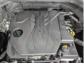 Thumbnail of 2025 Vik Black Genesis GV80