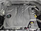 Thumbnail of 2025 Vik Black Genesis GV80
