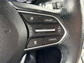 Thumbnail of 2022 Rainforest Hyundai PALISADE