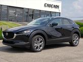 Photo of 2025 Jet Black Mica Mazda CX-30