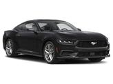 Thumbnail of 2024 Shadow Black Ford Mustang