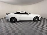 Thumbnail of 2023 Oxford White Ford Mustang
