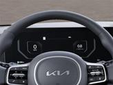 Thumbnail of 2026 Panthera Metal Kia Carnival