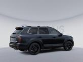 Thumbnail of 2025 Panthera Metal Kia Telluride