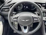 Thumbnail of 2025 Vik Black Genesis G70