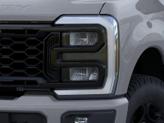 Thumbnail of 2026 Avalanche Ford F-250