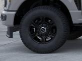 Thumbnail of 2026 Avalanche Ford F-250