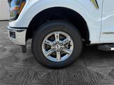 Thumbnail of 2025 Oxford White Ford F-150