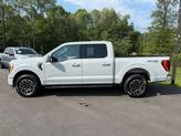Thumbnail of 2023 Avalanche Gray Ford F-150