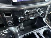 Thumbnail of 2023 Avalanche Gray Ford F-150