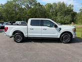Thumbnail of 2023 Avalanche Gray Ford F-150