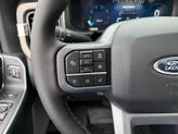 Thumbnail of 2026 Avalanche Ford F-350