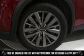 Thumbnail of 2024 Scarlet Ember Nissan Pathfinder