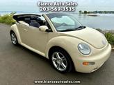 Photo of 2004 Beige Volkswagen New Beetle