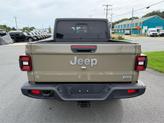 Thumbnail of 2020 Gator Clearcoat Jeep Gladiator