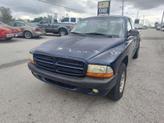 Thumbnail of 2001 BLUE Dodge Dakota
