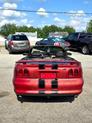 Thumbnail of 1996 RED Ford Mustang