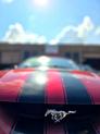Thumbnail of 1996 RED Ford Mustang