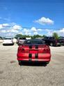 Thumbnail of 1996 RED Ford Mustang