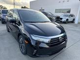 Thumbnail of 2024 Black Honda Odyssey