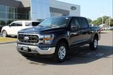 Thumbnail of 2023 Blue Ford F-150