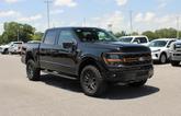 Thumbnail of 2025 Agate Black Metallic Ford F-150