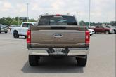 Thumbnail of 2023 Brown Ford F-150
