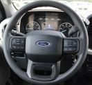 Thumbnail of 2023 Brown Ford F-150