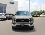 Thumbnail of 2023 Brown Ford F-150