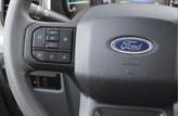 Thumbnail of 2023 Brown Ford F-150