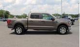Thumbnail of 2023 Brown Ford F-150