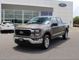 Thumbnail of 2023 Brown Ford F-150