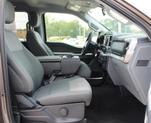 Thumbnail of 2023 Brown Ford F-150