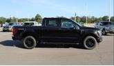 Thumbnail of 2025 Agate Black Metallic Ford F-150