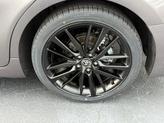 Thumbnail of 2024 Predawn Gray Mica Toyota Camry Hybrid