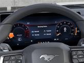 Thumbnail of 2025 Shadow Black Ford Mustang