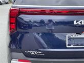 Thumbnail of 2026 Deep Chroma Blue Kia Carnival