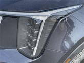 Thumbnail of 2025 Panthera Metal Kia Sorento