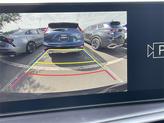 Thumbnail of 2025 Panthera Metal Kia Sorento