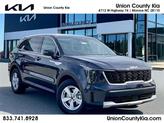 Photo of 2025 Panthera Metal Kia Sorento