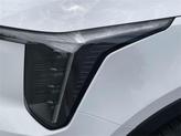 Thumbnail of 2025 Glacial White Pearl Kia Sorento