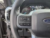 Thumbnail of 2023 Carbonized Gray Ford F-150