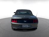 Thumbnail of 2022 Carbonized Gray Metallic Ford Mustang