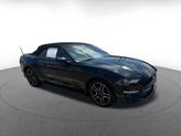 Thumbnail of 2023 Shadow Black Ford Mustang